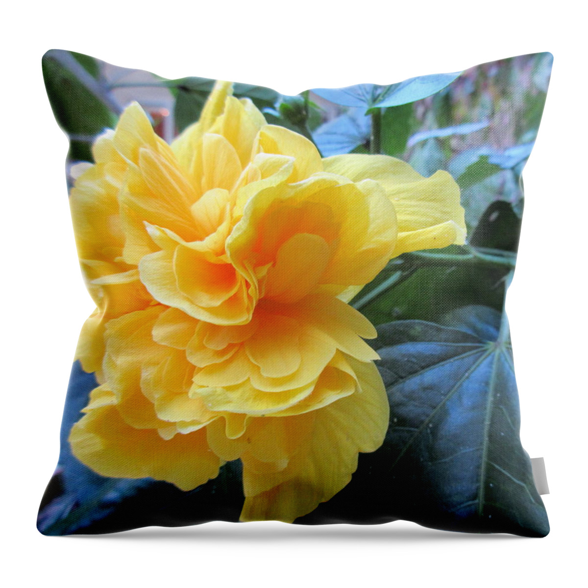 Yellow Throw Pillow featuring the photograph Sweet Spot by Ashley Goforth