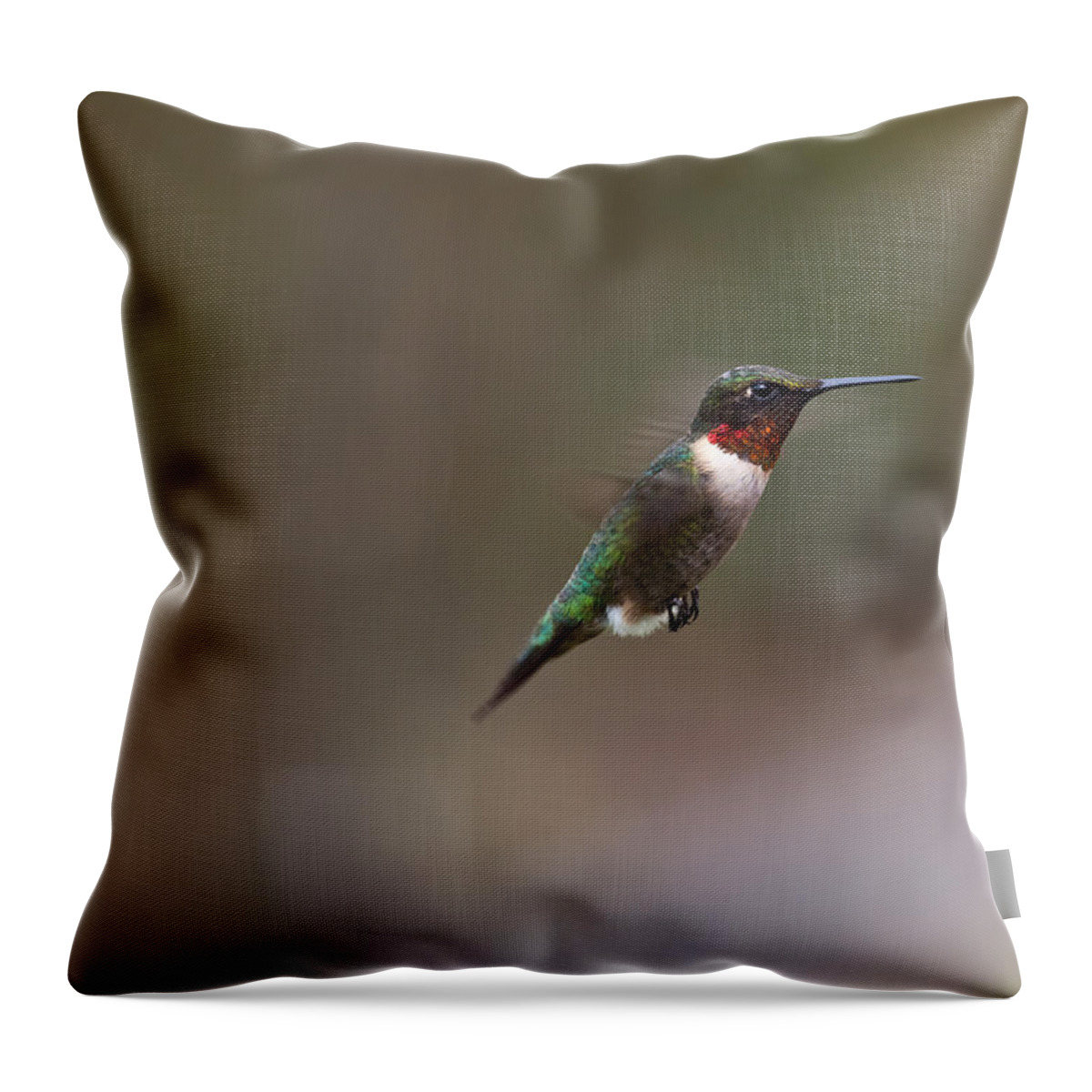 Hummingbird Throw Pillow featuring the photograph Sweet Stuff Ahead by Mark Alder