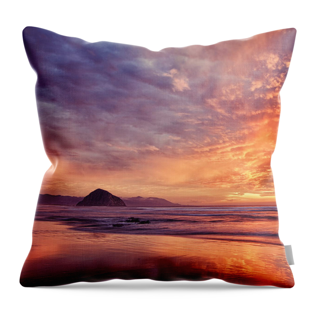 Beach Throw Pillow featuring the photograph Sweet Surrender by Alice Cahill