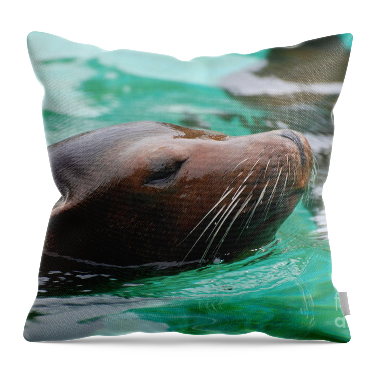 Sea Lion Throw Pillow featuring the photograph Swimming Sea Lion by DejaVu Designs