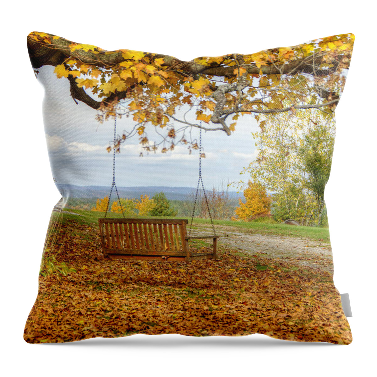 Swing Throw Pillow featuring the photograph Swing with a View by Donna Doherty