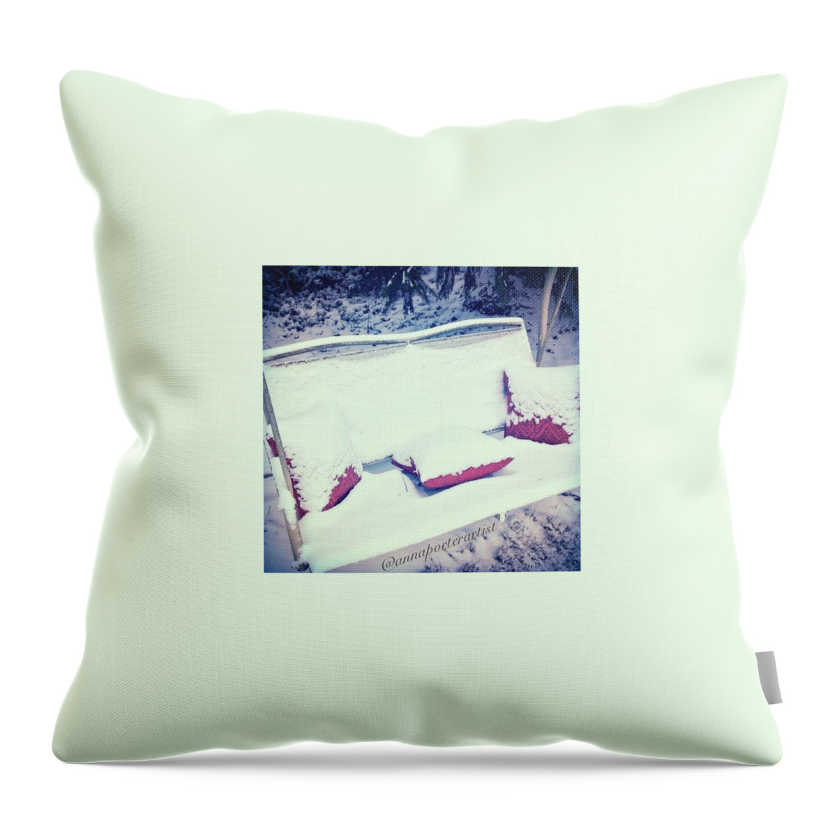 Winter Throw Pillow featuring the photograph Swing With Me by Anna Porter