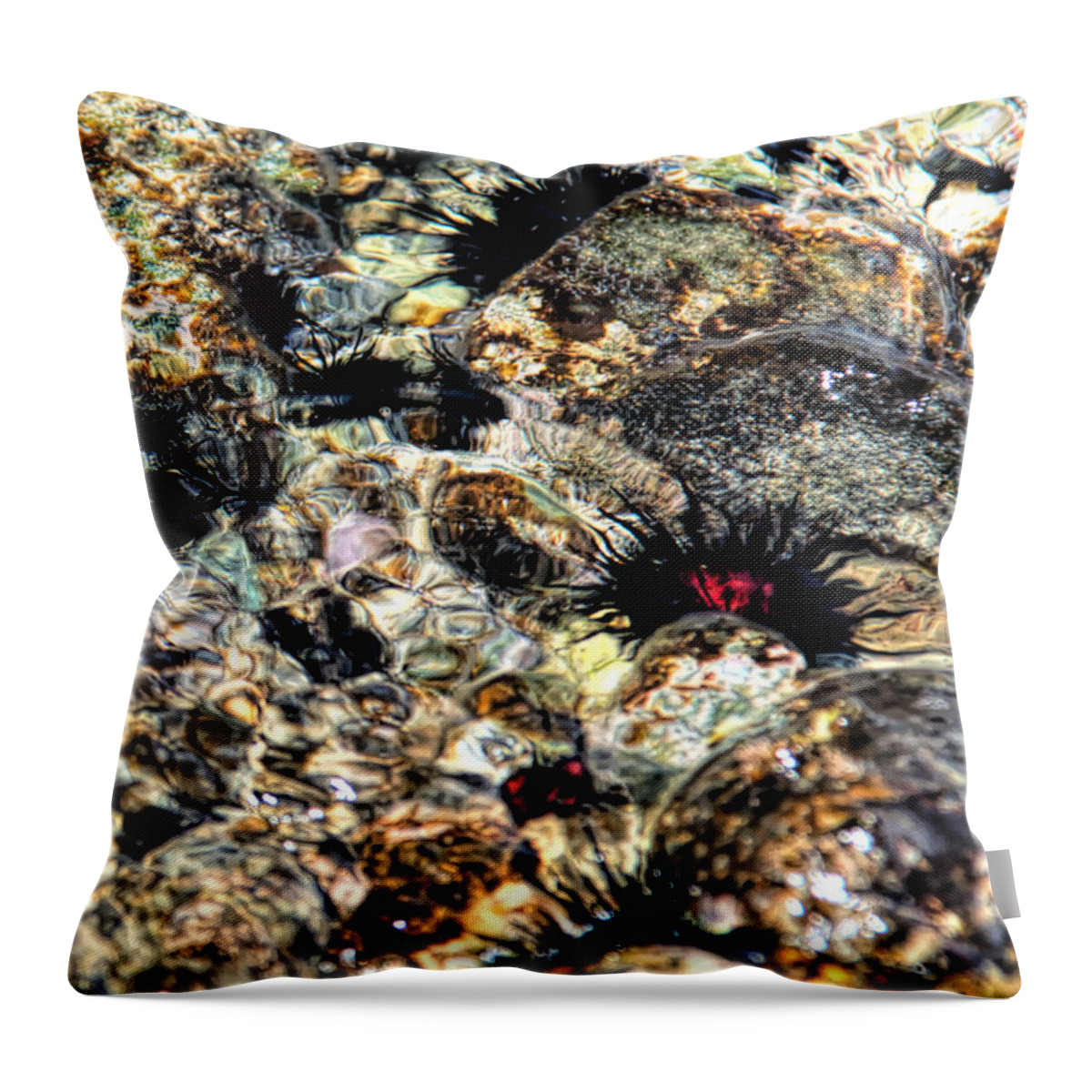 Sea Urchins Throw Pillow featuring the photograph Swirling Sea Urchins by Lucy VanSwearingen