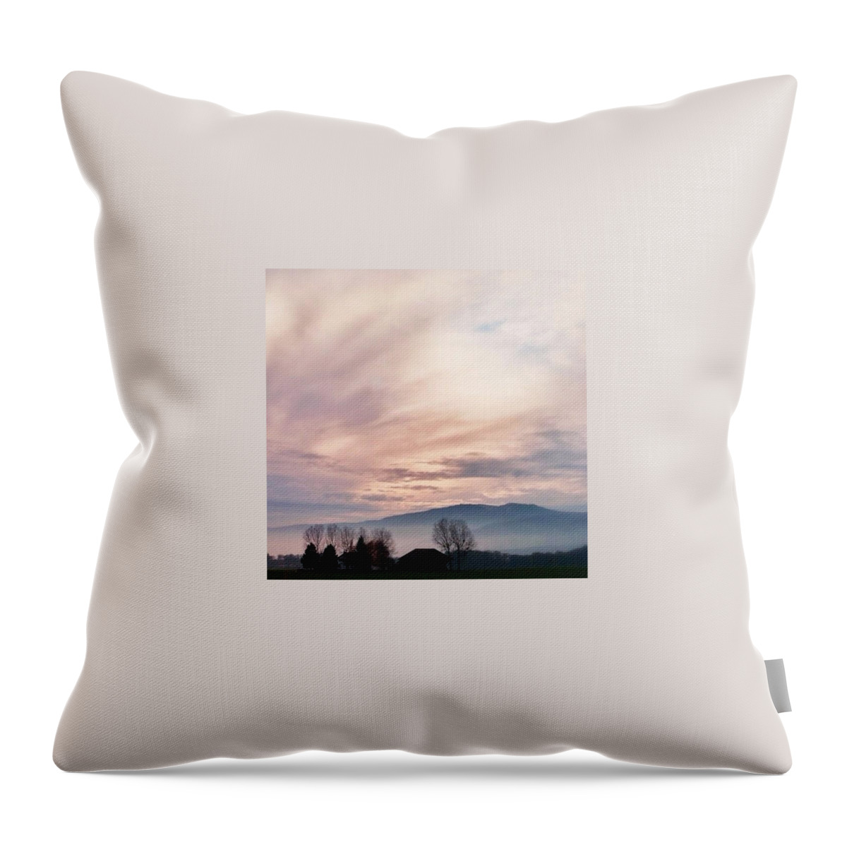Pink Throw Pillow featuring the photograph Switzerland Countryside by Aleck Cartwright