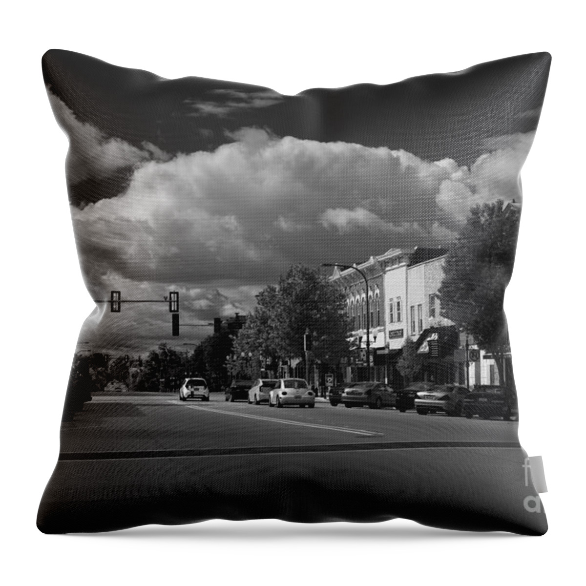 Downtown Throw Pillow featuring the photograph Sycamore in B-W by David Bearden
