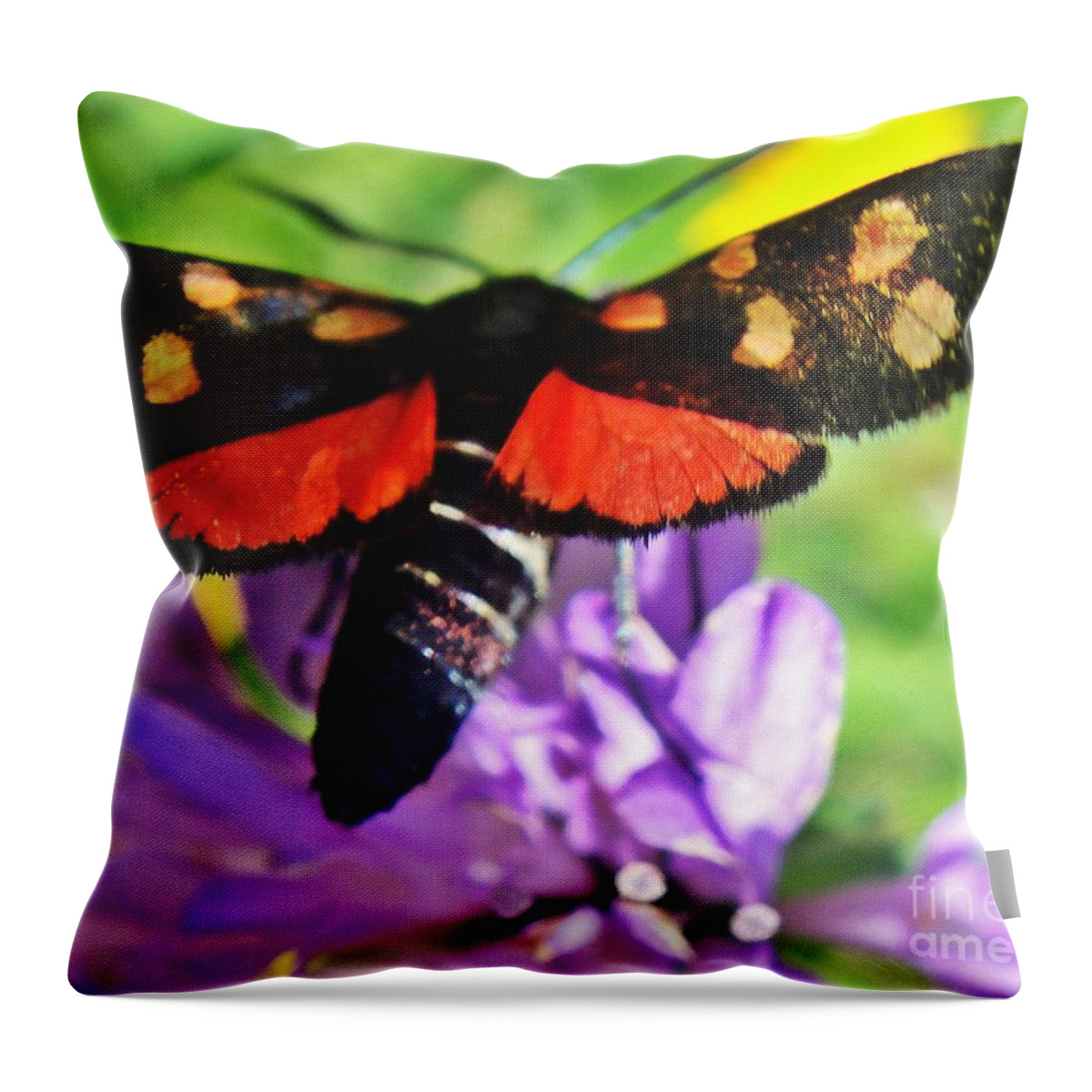 Butterfly Throw Pillow featuring the photograph Symphony of colors by Karin Ravasio