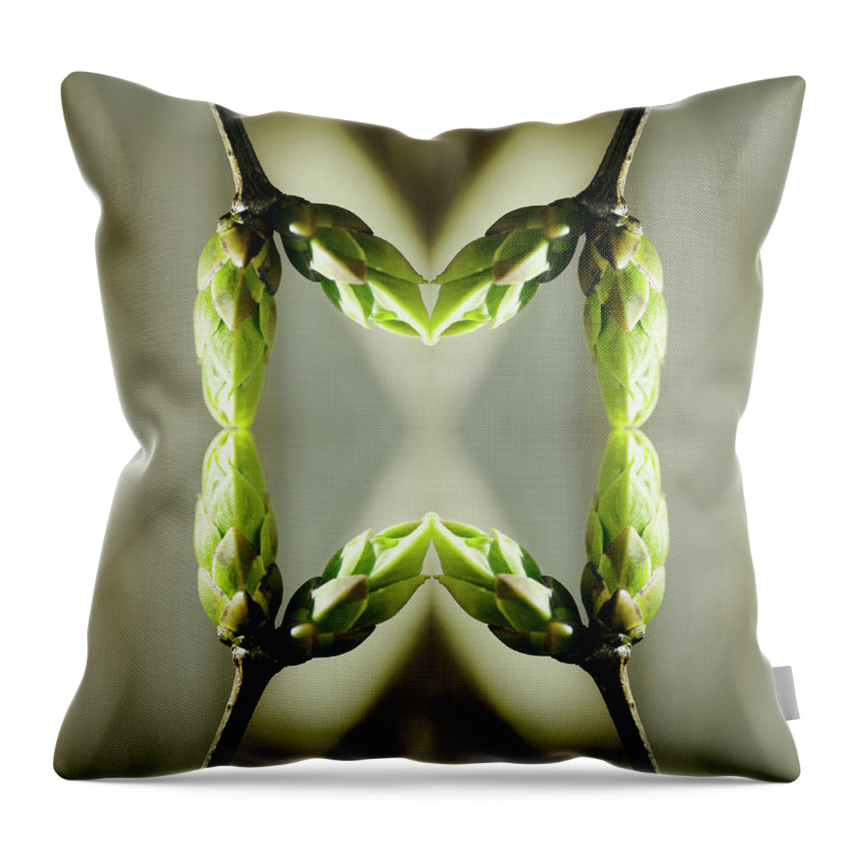 Bud Throw Pillow featuring the photograph Syringa Buds by Silvia Otte