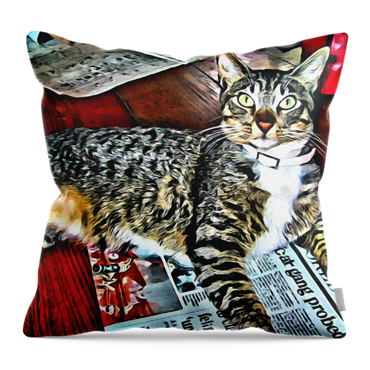Tabby Cat On Newspaper Throw Pillow featuring the photograph Tabby Cat on Newspaper - Catching up on the News by Rebecca Korpita