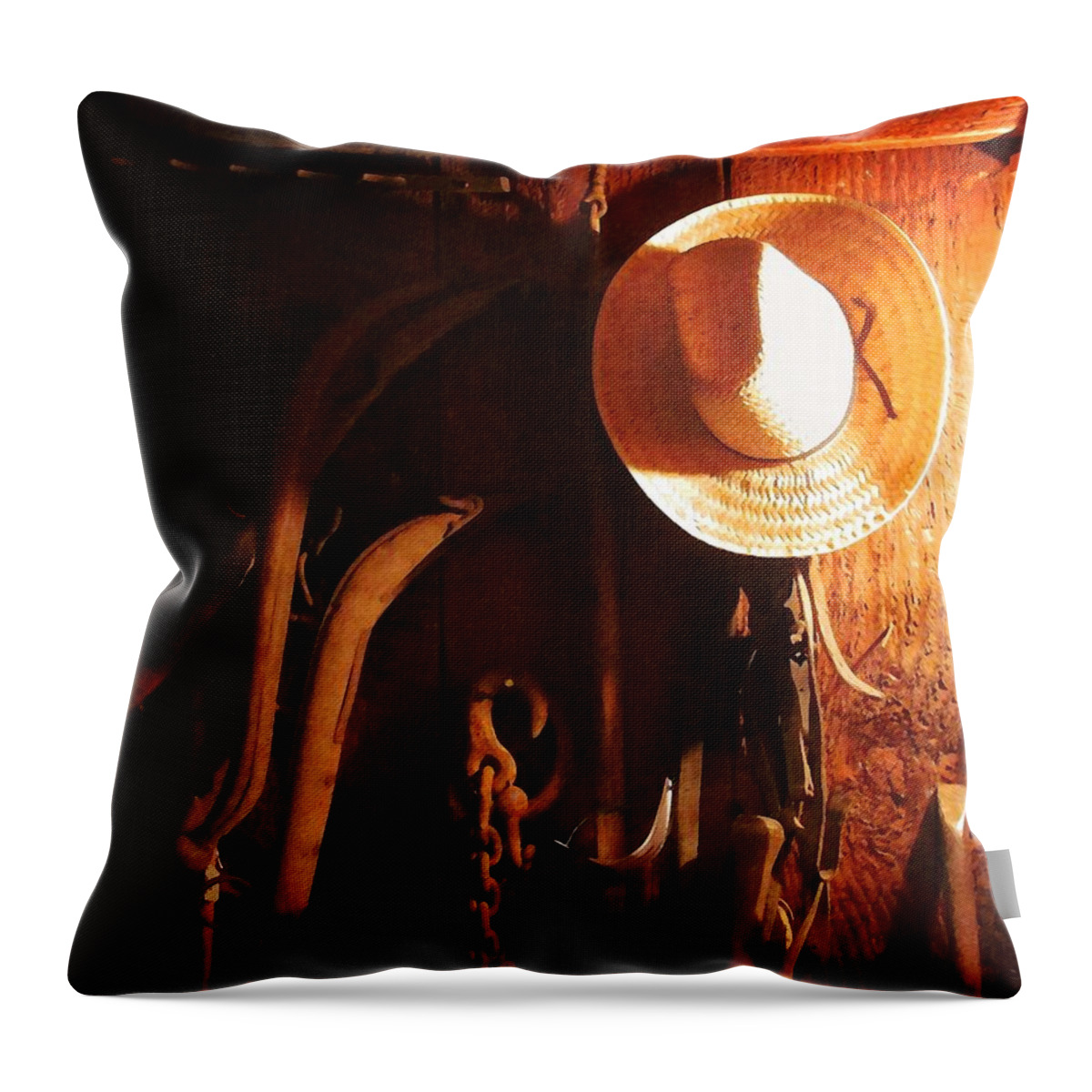 Tack House Throw Pillow featuring the photograph Tack House by Timothy Bulone