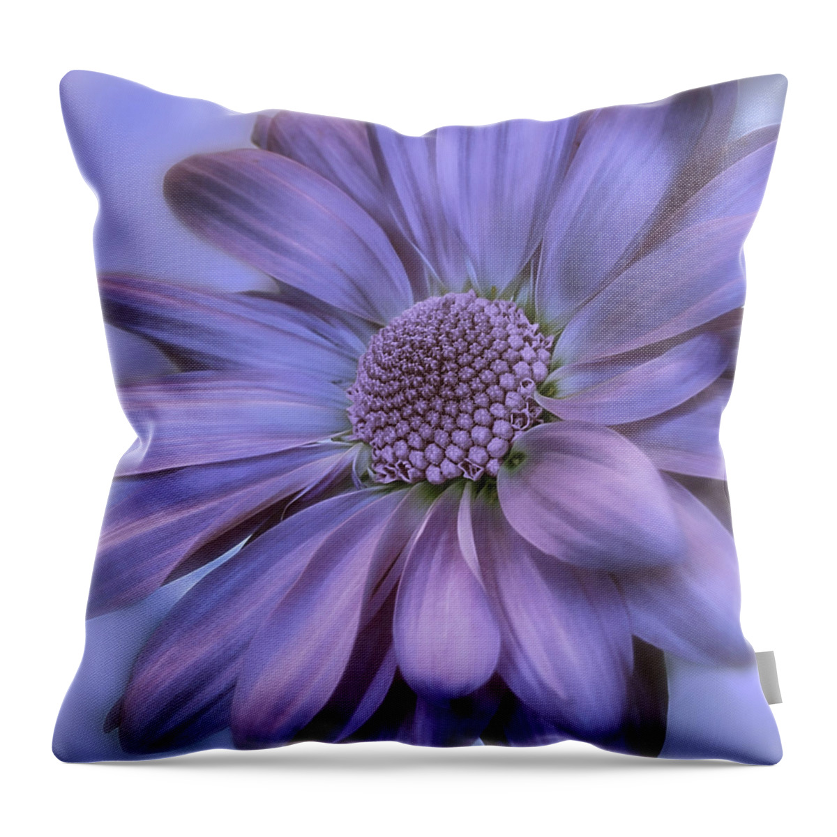 Floral Throw Pillow featuring the photograph Taffeta and Pearls by Darlene Kwiatkowski