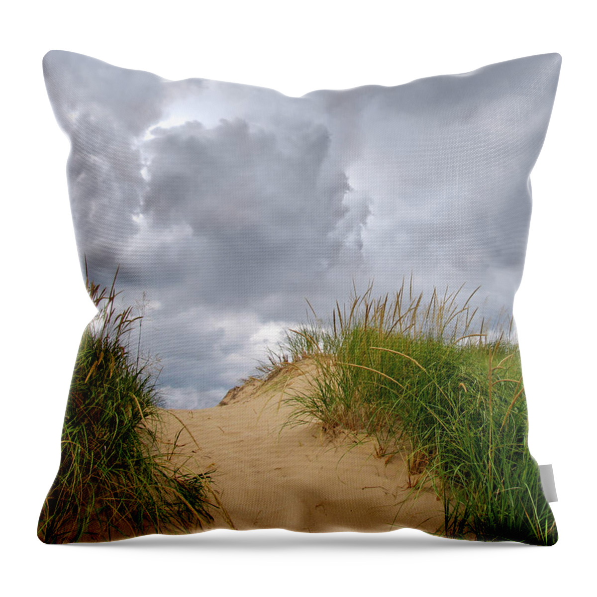 Lake Michigan Throw Pillow featuring the photograph Take Cover by Kathi Mirto