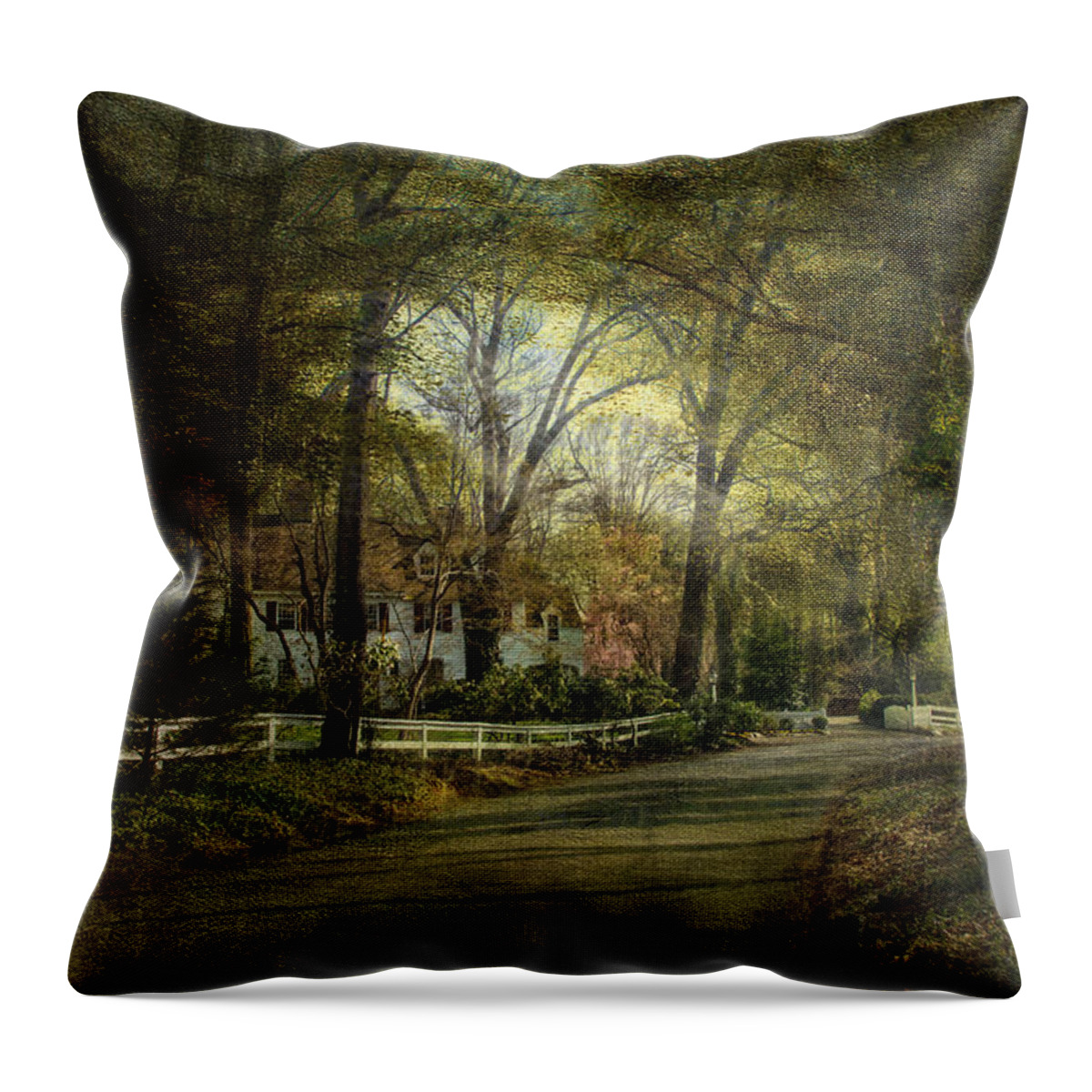 Home Throw Pillow featuring the photograph Take me Home by John Rivera
