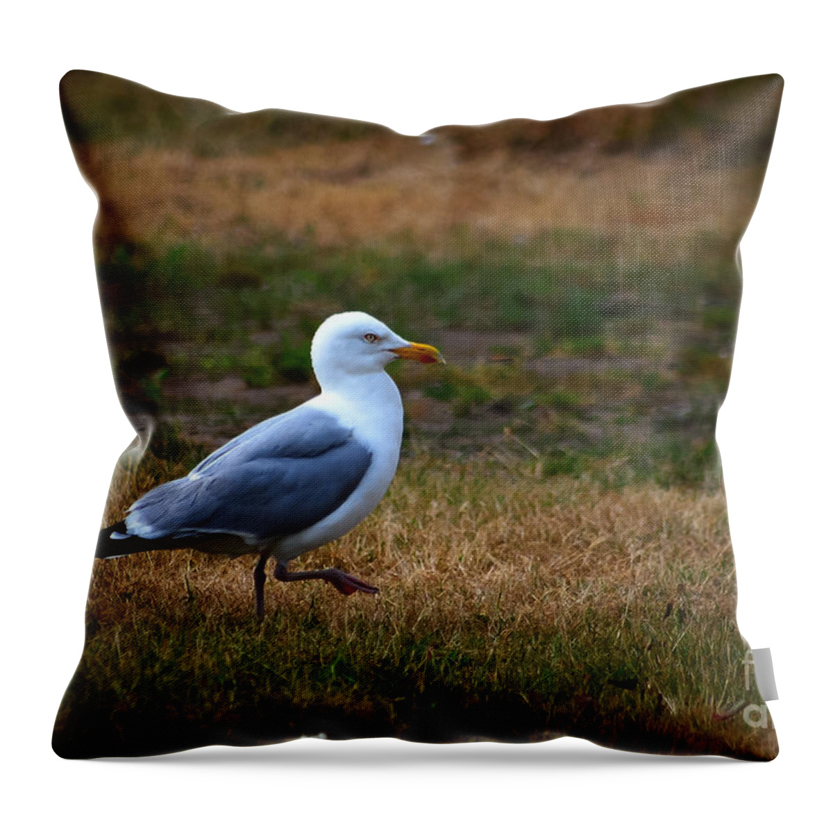 Bird Throw Pillow featuring the photograph Take Walk by Hannes Cmarits
