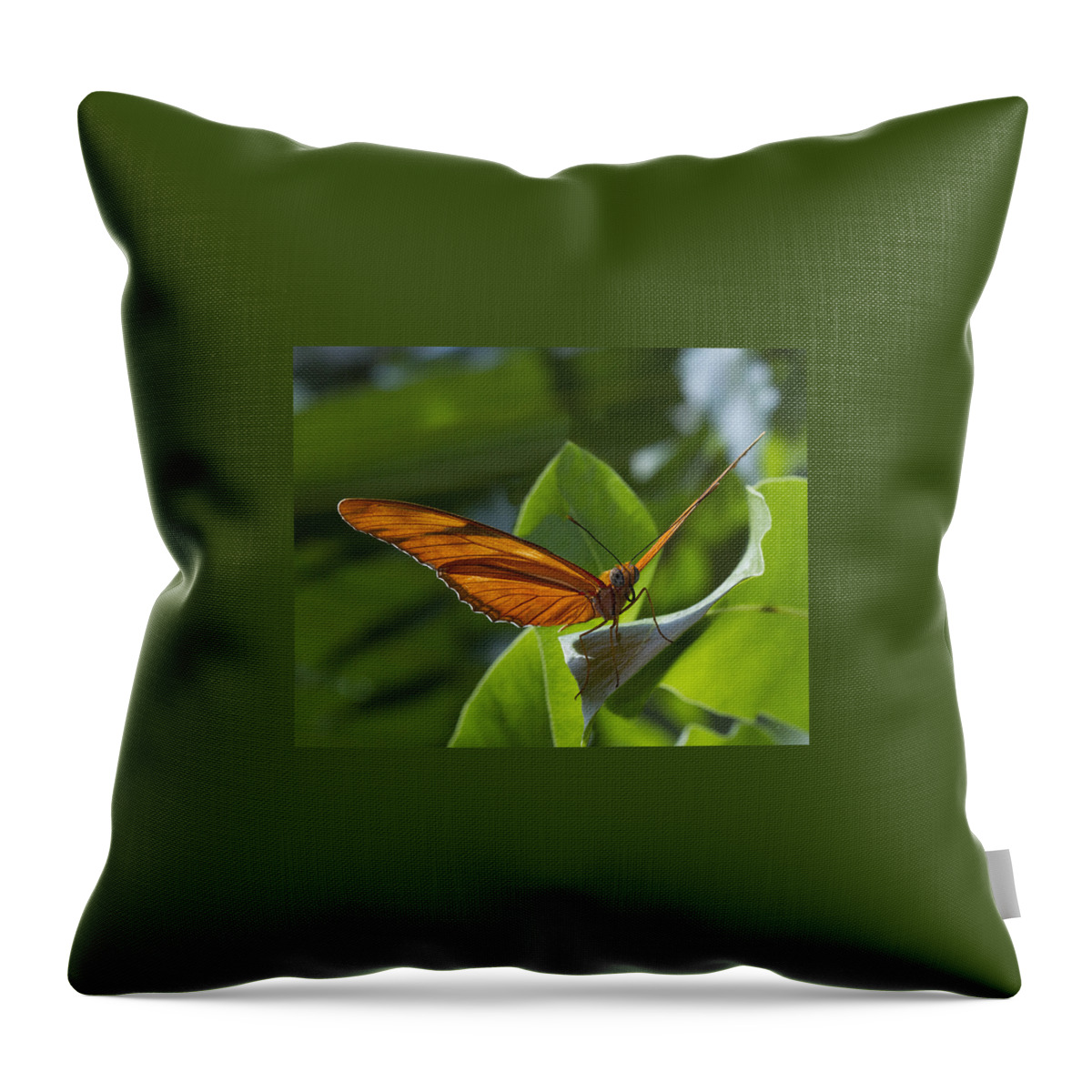 Butterfly Throw Pillow featuring the photograph Taking Off by Suanne Forster