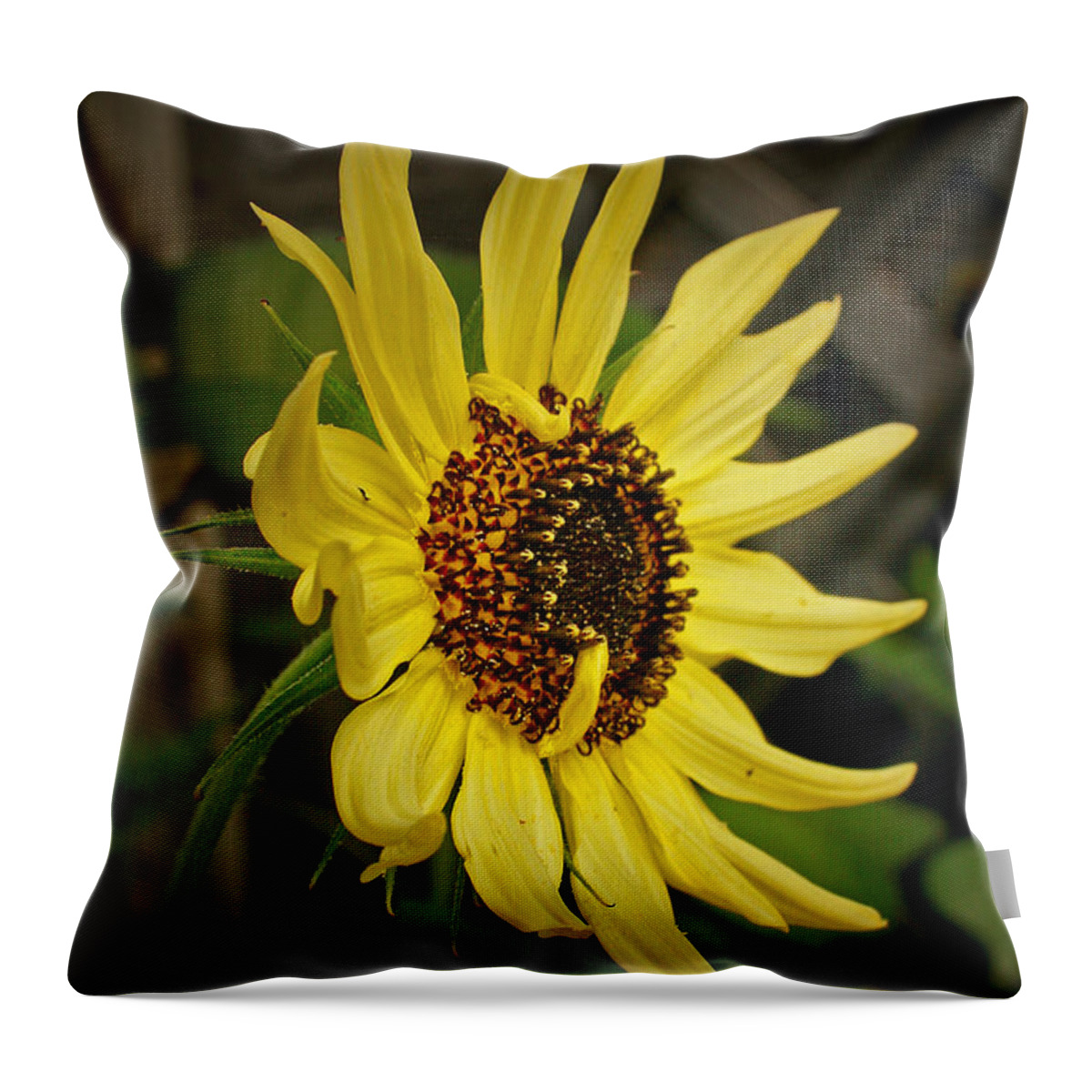 Sunflower Throw Pillow featuring the photograph Tall And Proud by Susan McMenamin