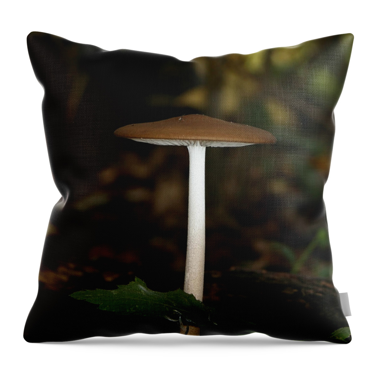 Mushroom Throw Pillow featuring the photograph Tall Mushroom by Karen Harrison Brown