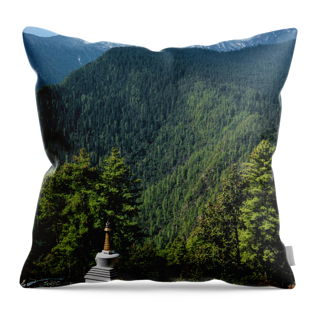 Education Throw Pillow featuring the photograph Tango Bouddhist University College by Ducoin David