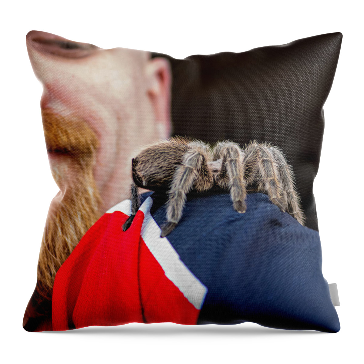Steve Harrington Throw Pillow featuring the photograph Tarantula Love by Steve Harrington