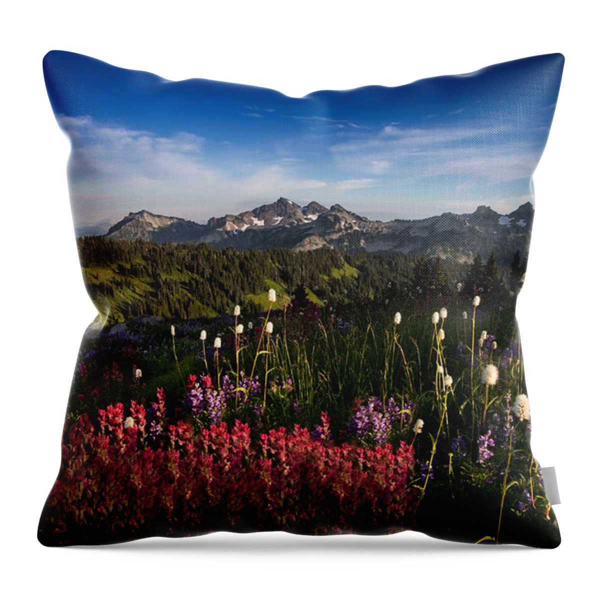 Mt. Rainier Throw Pillow featuring the photograph Tatoosh Mountain Range by Larry Marshall