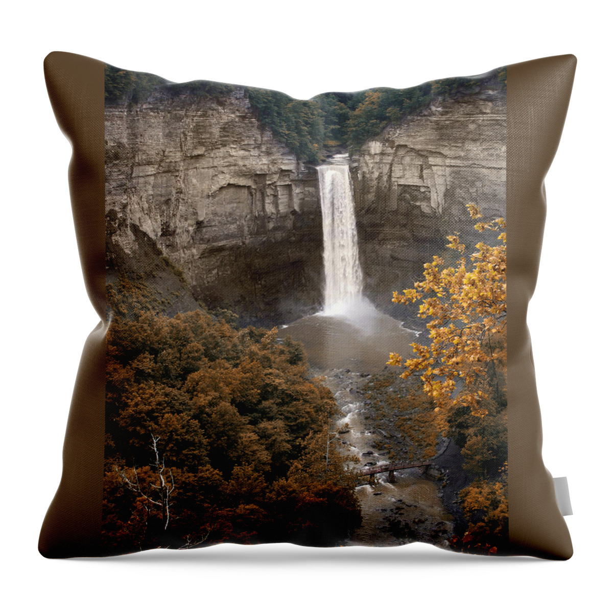 Landscape Throw Pillow featuring the photograph Taughannock Falls Park by Jessica Jenney