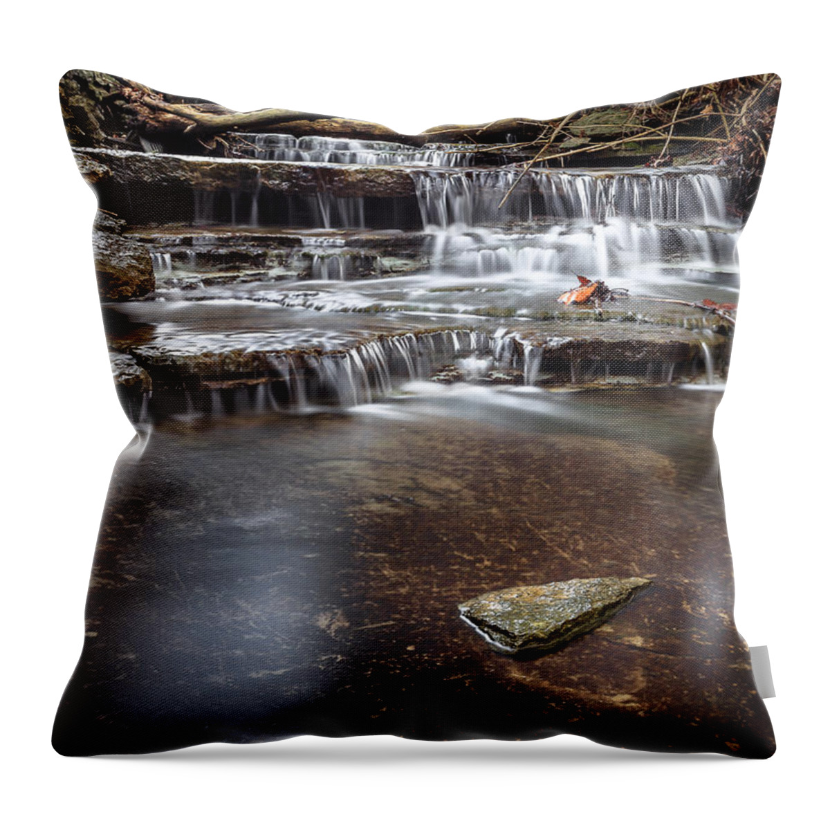 Cincinnati Throw Pillow featuring the photograph Taylor Creek Falls by Keith Allen
