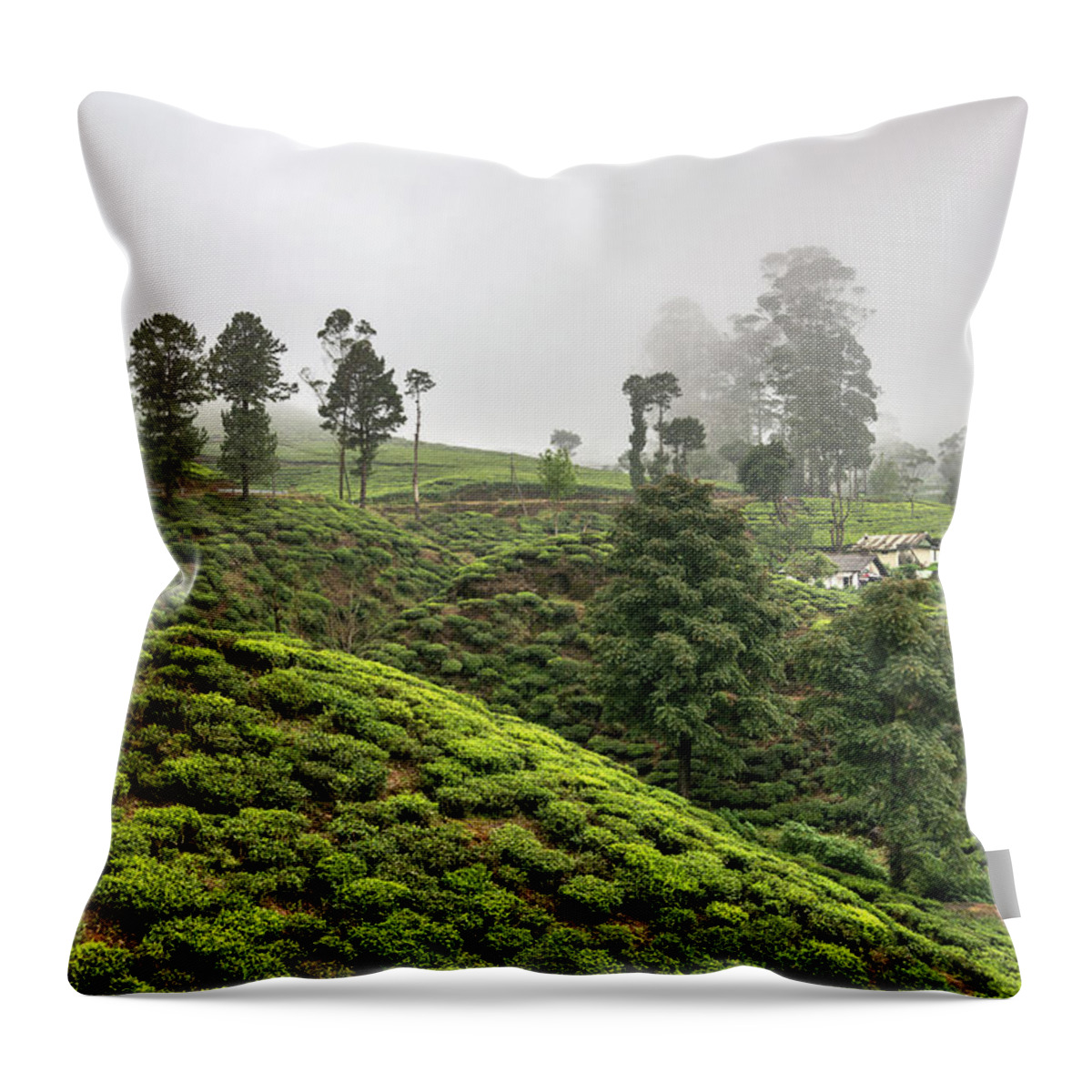 Tranquility Throw Pillow featuring the photograph Tea Plantations,nuwara Eliya,sri Lanka by Izzet Keribar