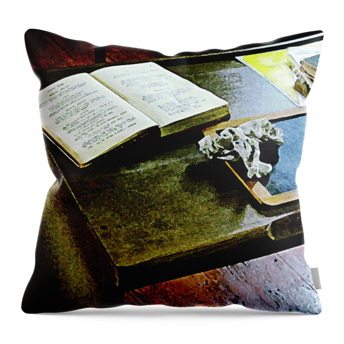 Teacher Throw Pillow featuring the photograph Teacher - Blackboard and Book by Susan Savad