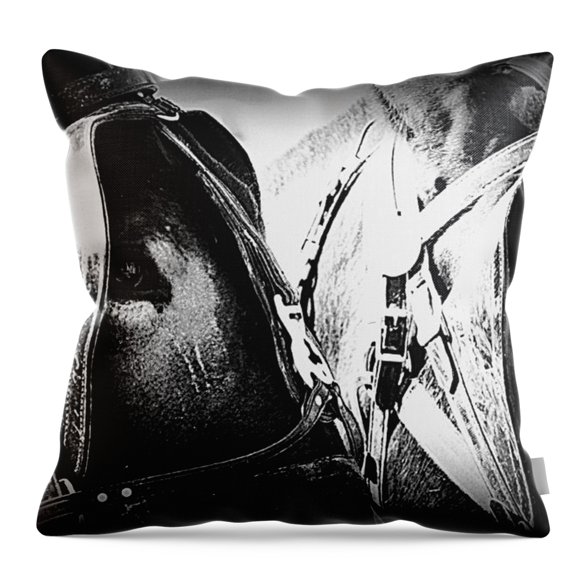 Mules Throw Pillow featuring the photograph Team Work - Mules 2225-012-BW by Travis Truelove