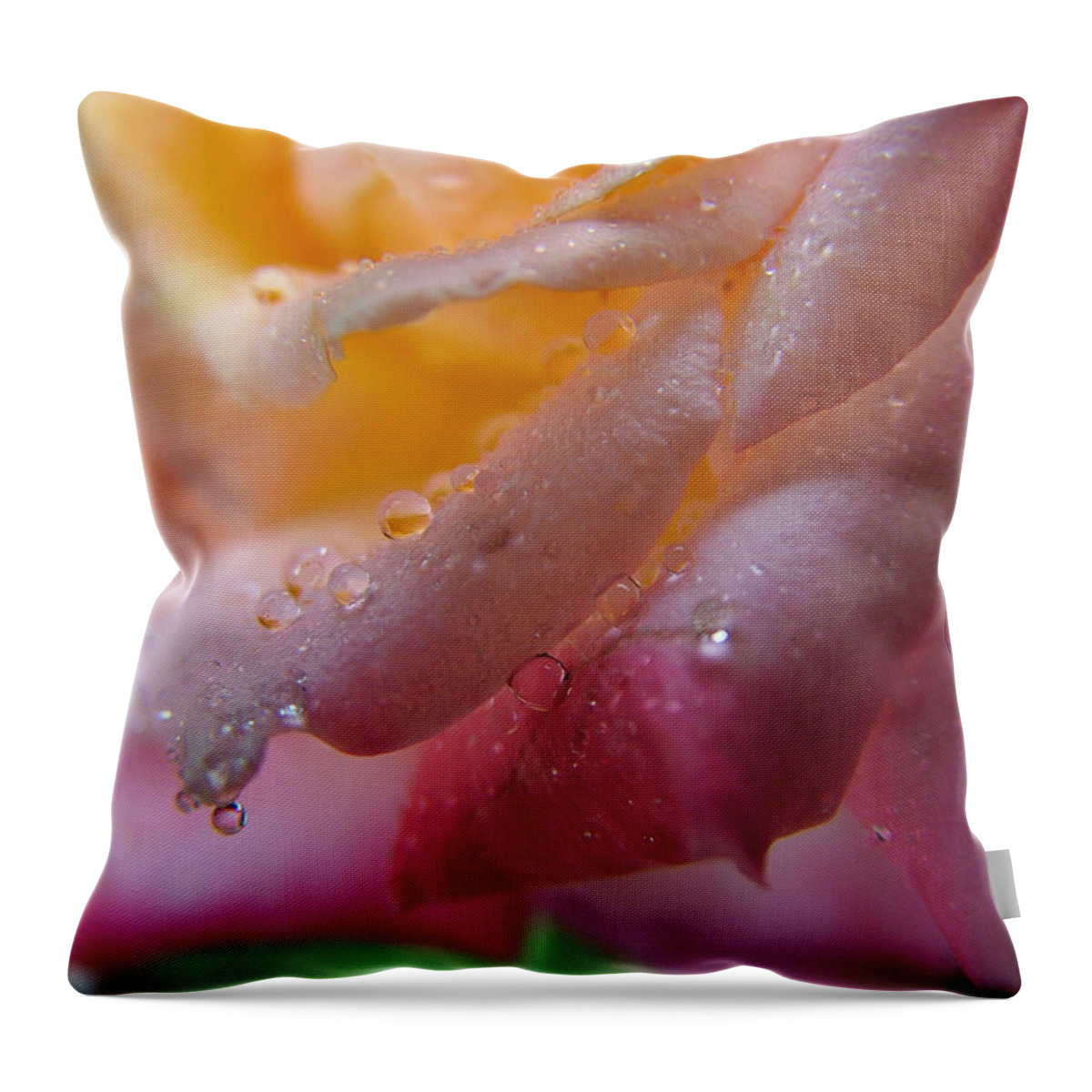 Rose Throw Pillow featuring the photograph Teardrop of a Rose by Kathy Churchman