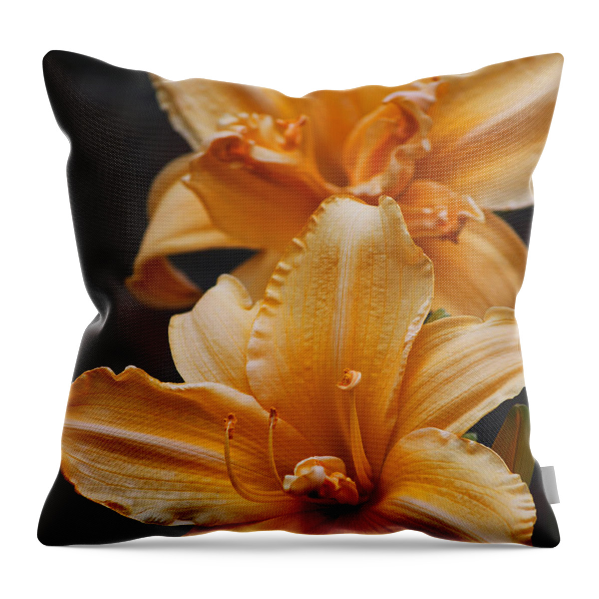 Technicolor Dreamcoat Daylilies Throw Pillow featuring the photograph Technicolor Dreamcoat Daylilies by Suzanne Gaff