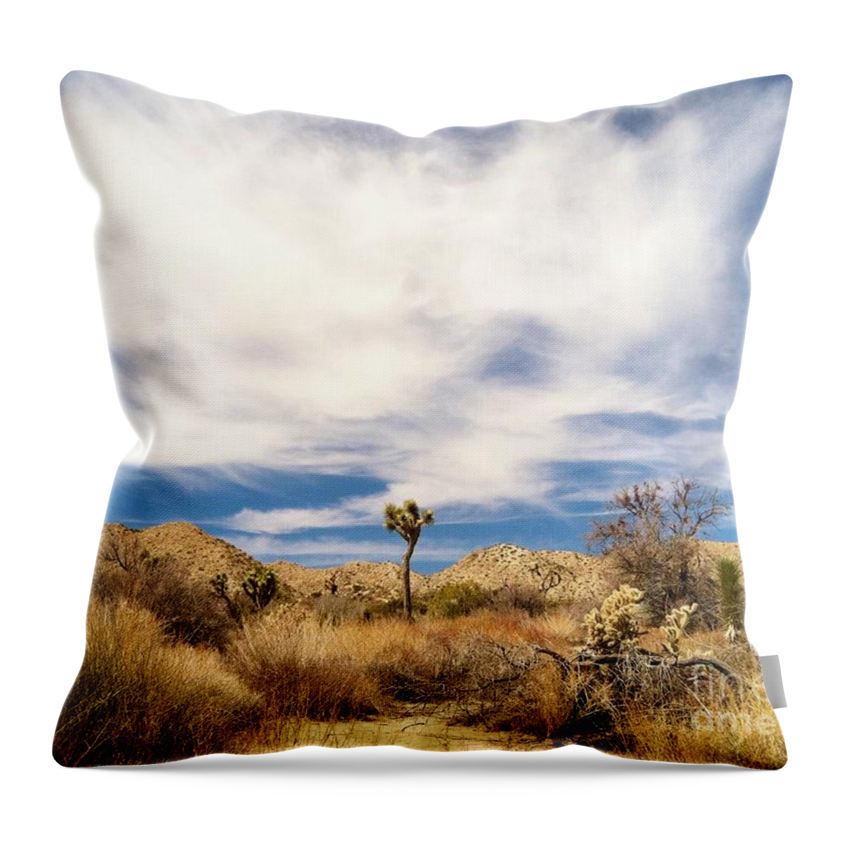 Yucca Valley California Throw Pillow featuring the photograph Joshua Beauty by Angela J Wright