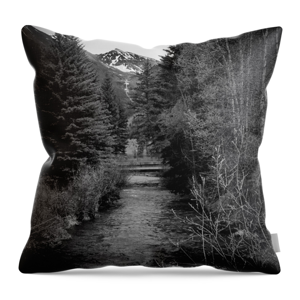 Telluride Throw Pillow featuring the photograph Telluride Stream by Debbie Karnes