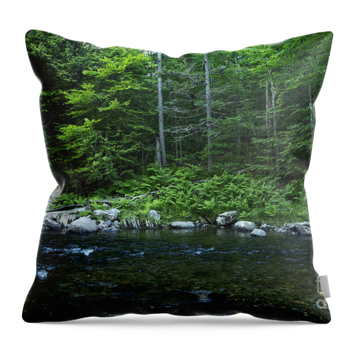 June Throw Pillow featuring the photograph Temple Stream by Alana Ranney