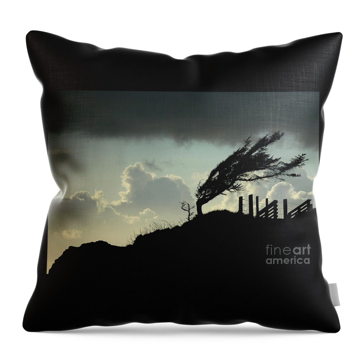 Pacificnorthwest Throw Pillow featuring the photograph The Test Of Time by Nick Boren