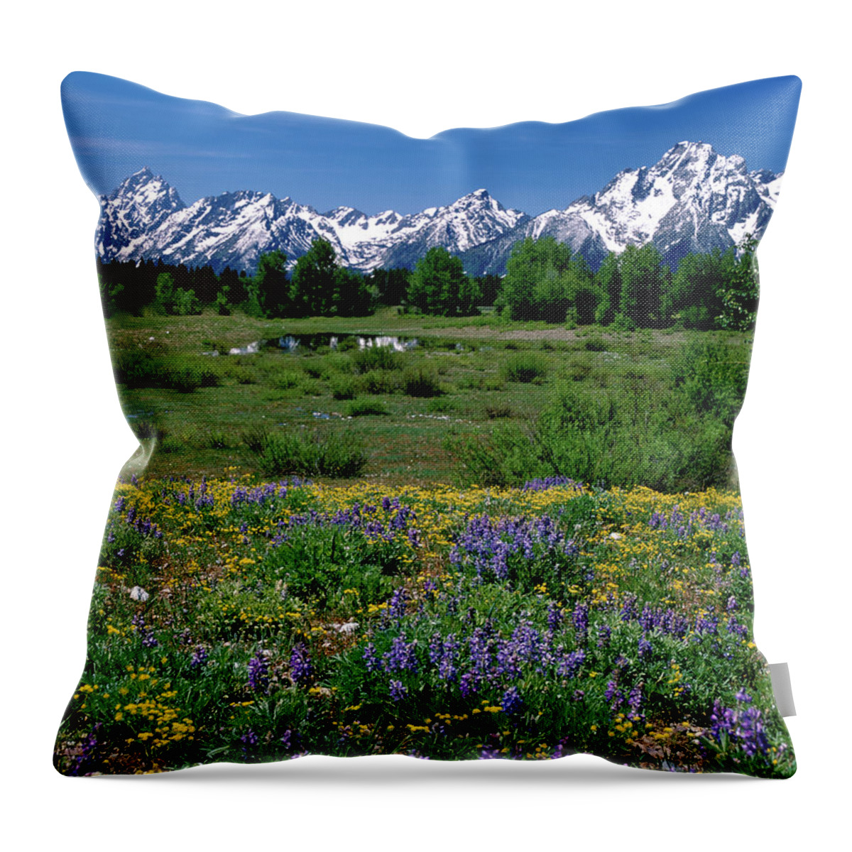 Grand Teton National Park Throw Pillow featuring the photograph Teton Grandeur by Ed Riche