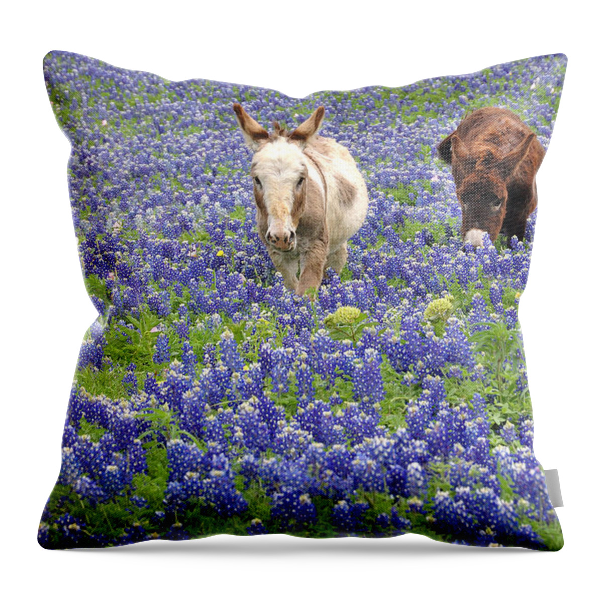 Texas Bluebonnets Throw Pillow featuring the photograph Texas Donkeys and Bluebonnets - Texas Wildflowers Landscape by Jon Holiday