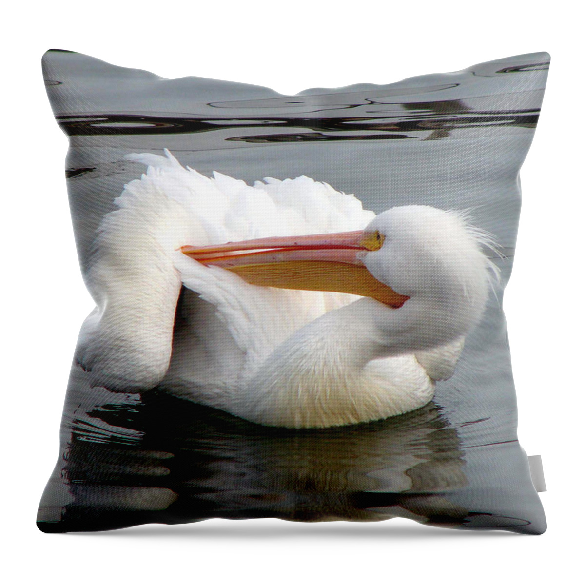 Pelican Throw Pillow featuring the photograph Texas Gulf Coast White Pelican by Linda Cox