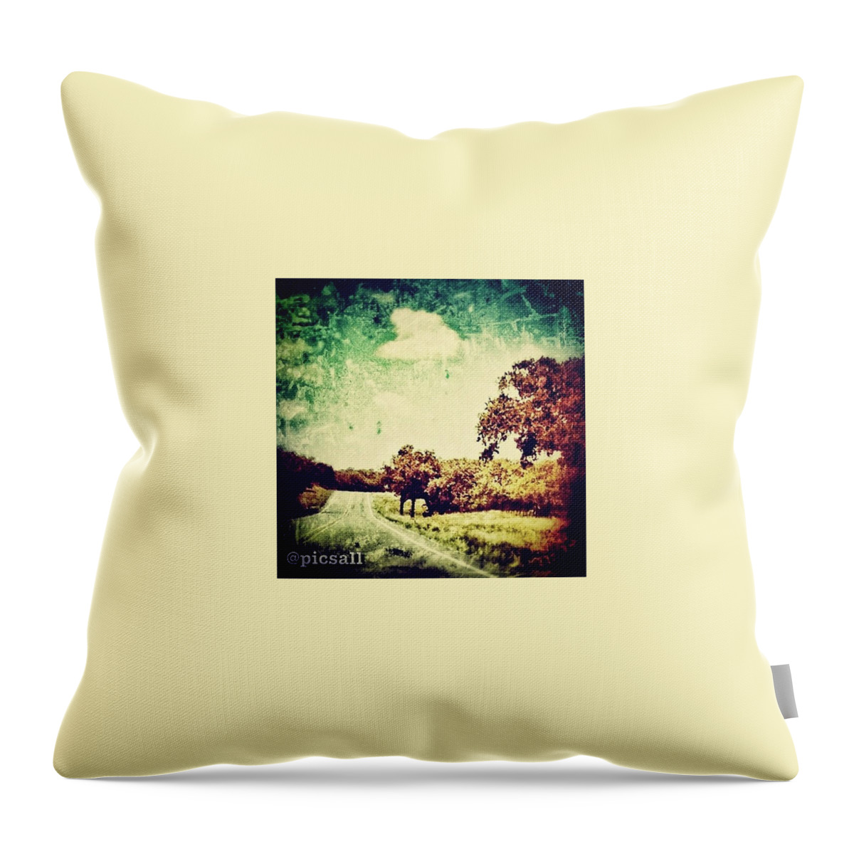 Scenicsunsets Throw Pillow featuring the photograph Texas Hwy 29 by Star Rodriguez