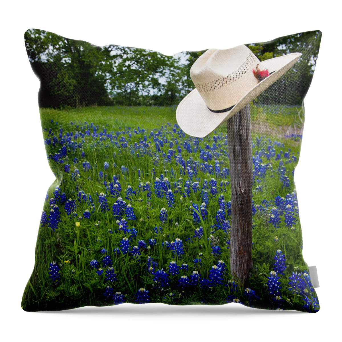 Texas Throw Pillow featuring the photograph Texas by Mark Alder
