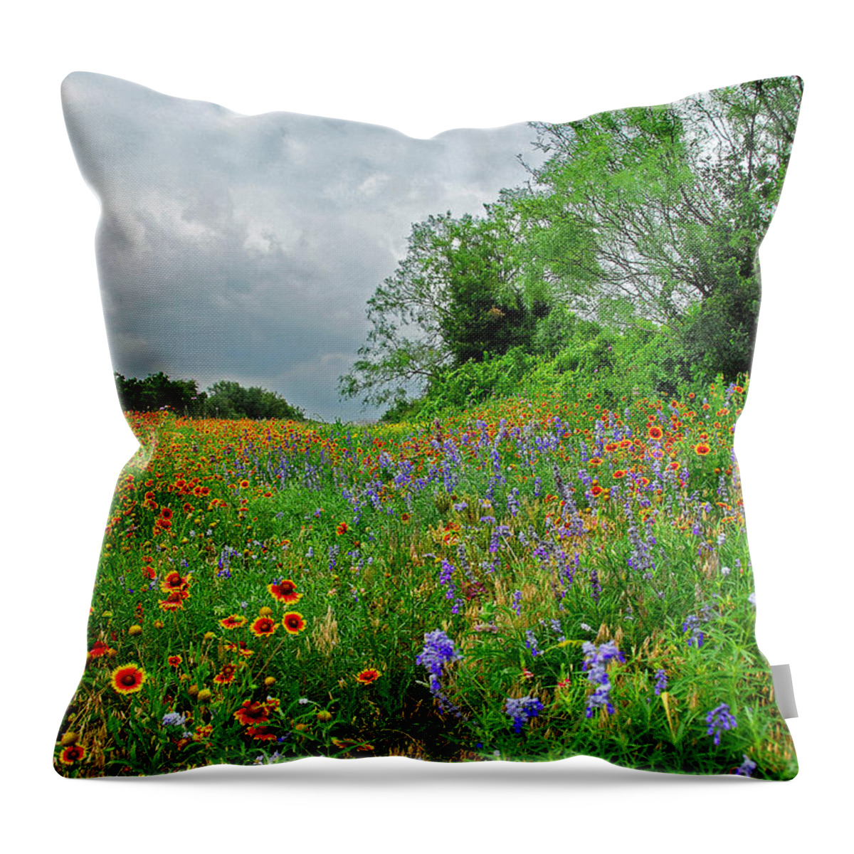 Wildflowers Throw Pillow featuring the photograph Texas Roadside Wildflowers by Lynn Bauer