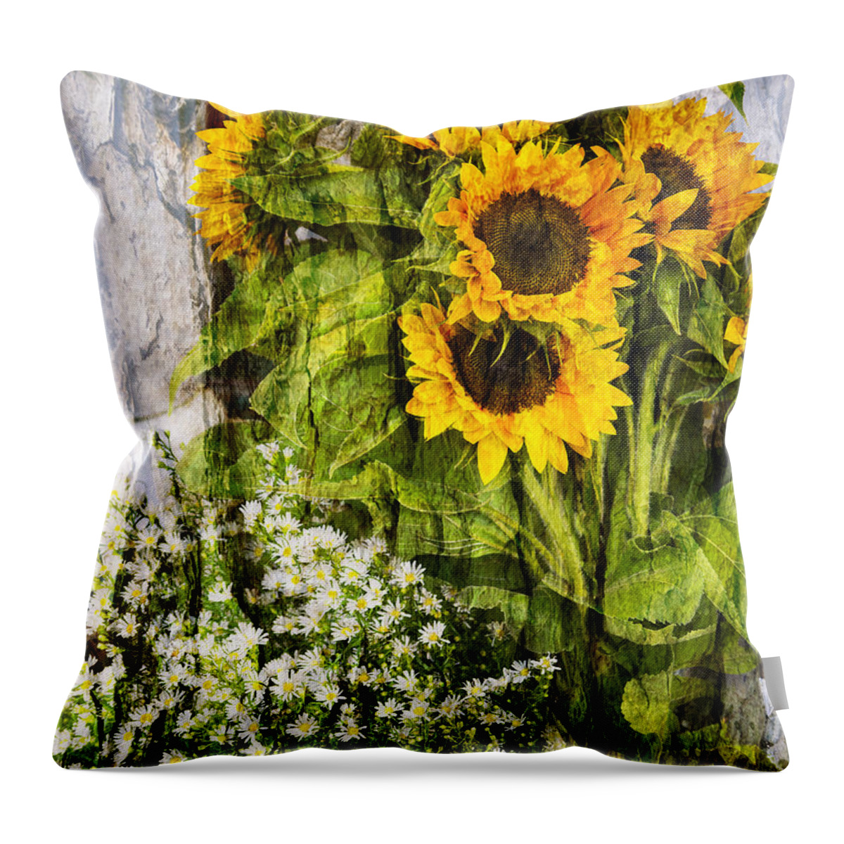 Krakow Throw Pillow featuring the photograph Textured Sunflowers by Brenda Kean