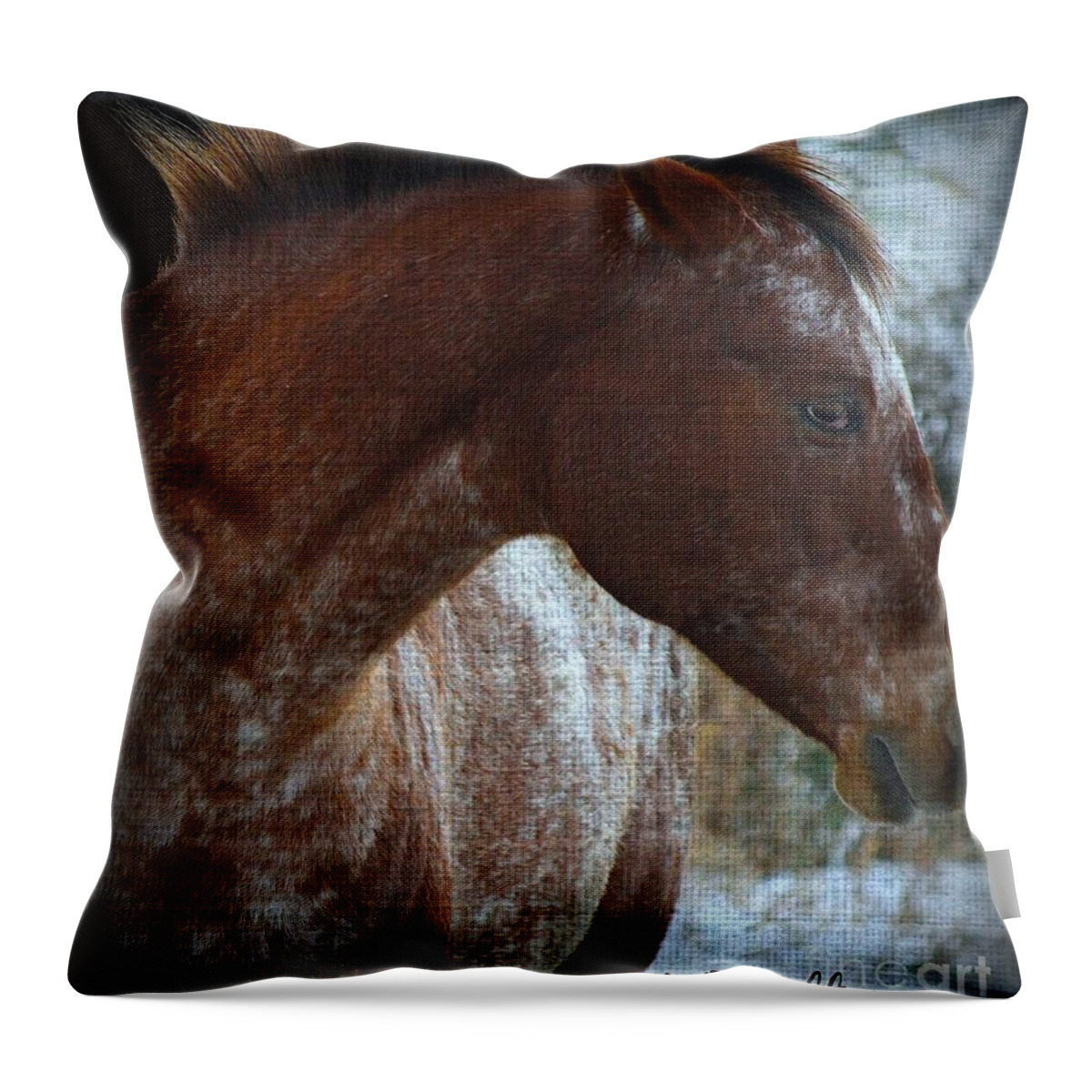 Horses Throw Pillow featuring the photograph Textures on Paint by Veronica Batterson
