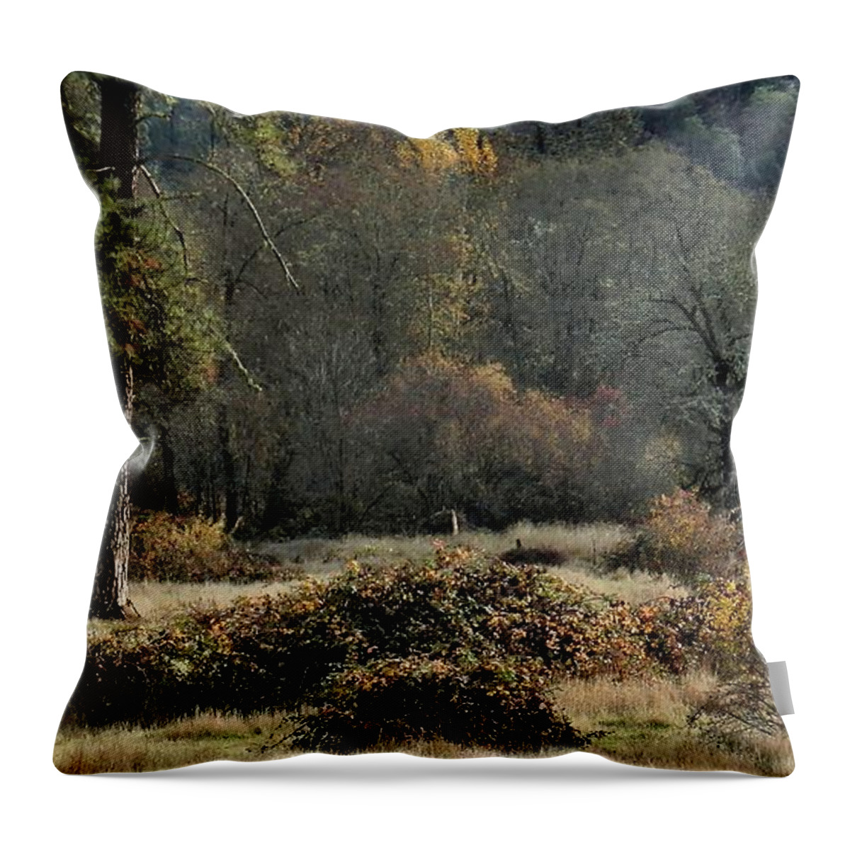 Landscape Throw Pillow featuring the photograph Thankful by Julia Hassett