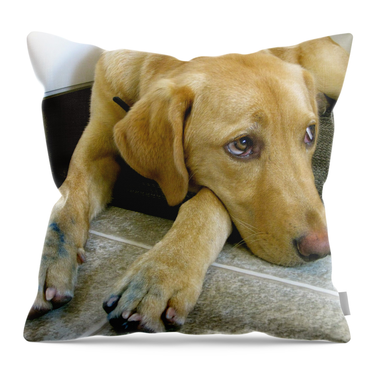 Puppy Throw Pillow featuring the photograph That Blue pen was finger licking good by Kathy King