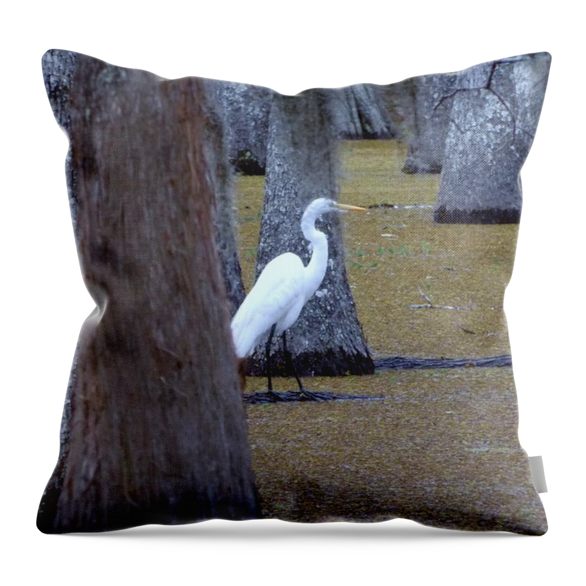 Heron Throw Pillow featuring the photograph The Bayou's White Knight by John Glass