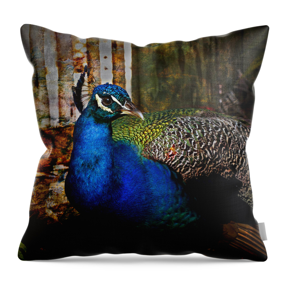 Animals Throw Pillow featuring the photograph The Beauty by Debra and Dave Vanderlaan
