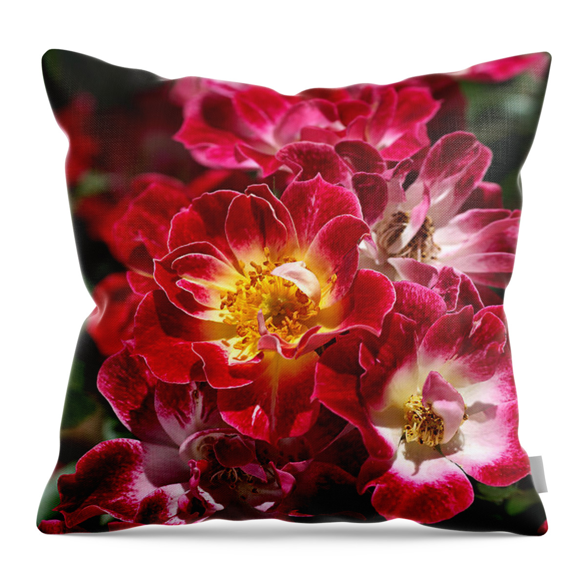 Joy Watson Throw Pillow featuring the photograph The Beauty Of Carpet Roses by Joy Watson