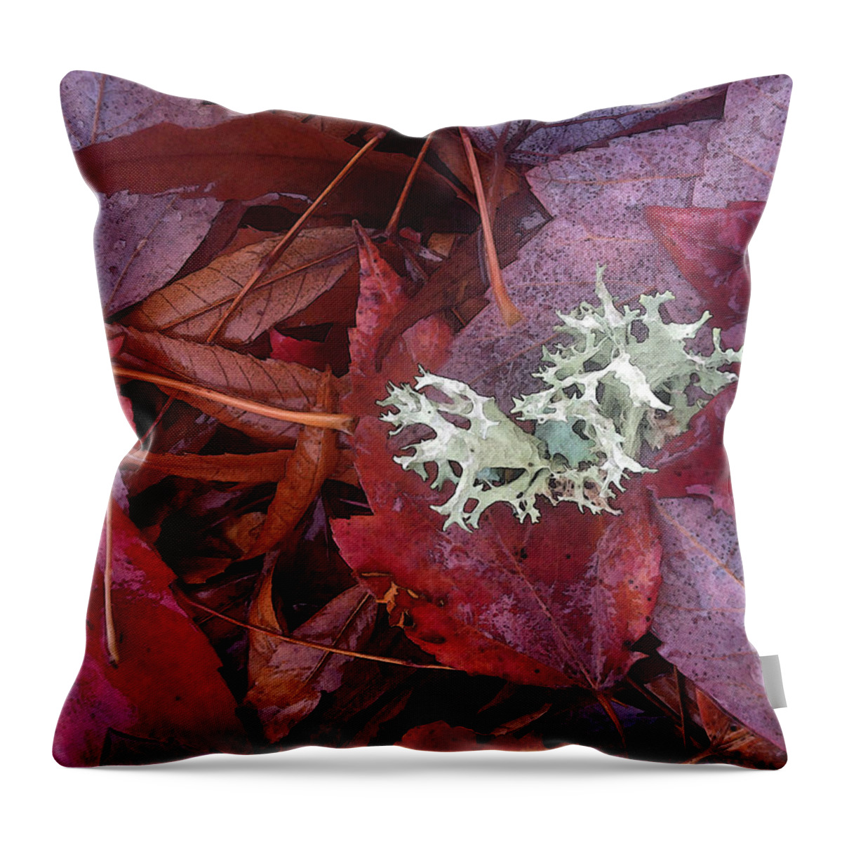 Fall Throw Pillow featuring the photograph The Beauty of Rain by Gwyn Newcombe