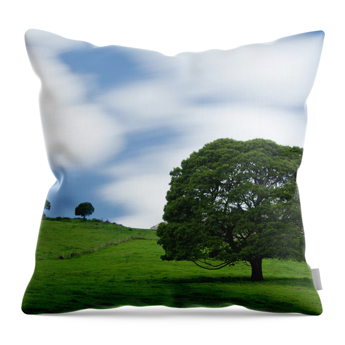 Tranquility Throw Pillow featuring the photograph The Big Tree by Thienthongthai Worachat