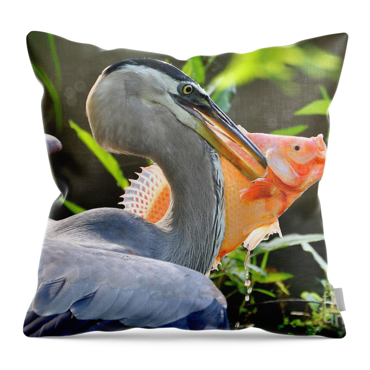 Heron Throw Pillow featuring the photograph The Bigger They Are The Harder It Is To Fly by Kathy Baccari
